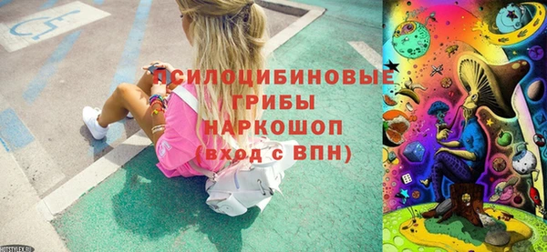 спайс Алзамай