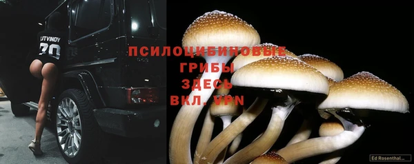спайс Алзамай