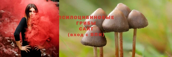 спайс Алзамай