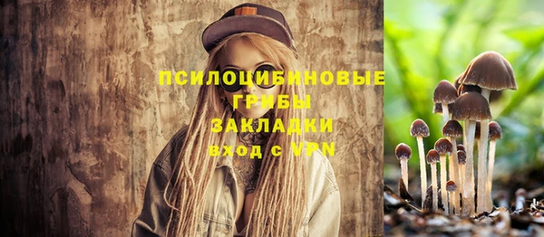 спайс Алзамай