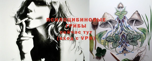 винт Алексин